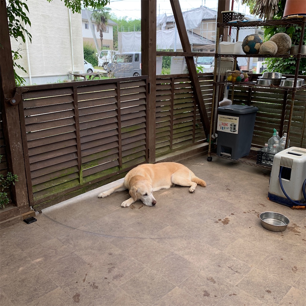 f:id:keikostyle:20200808171008j:image