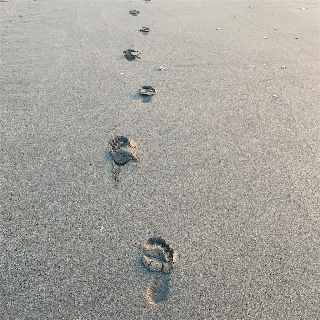 f:id:keikostyle:20200827063729j:image