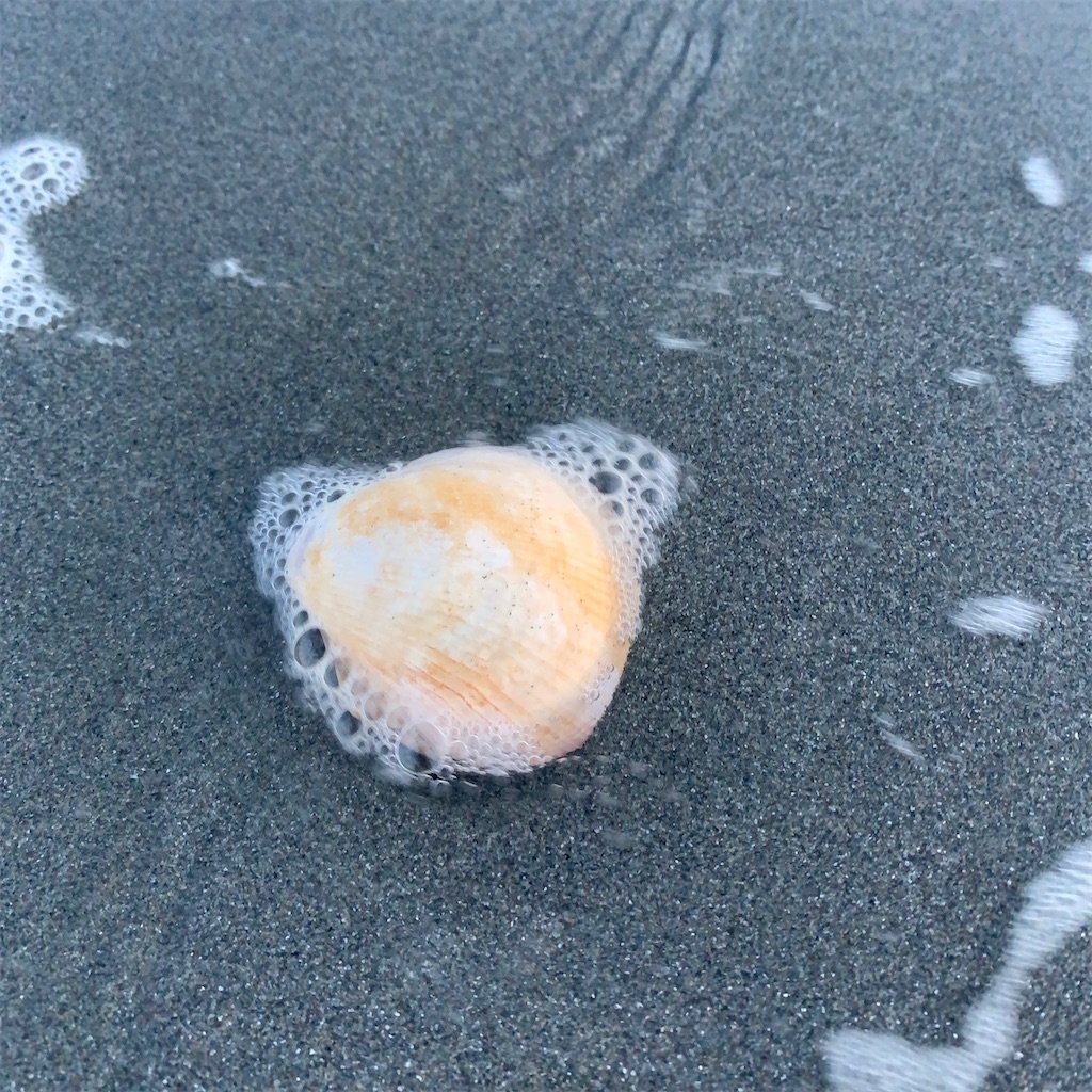 f:id:keikostyle:20200827063809j:image