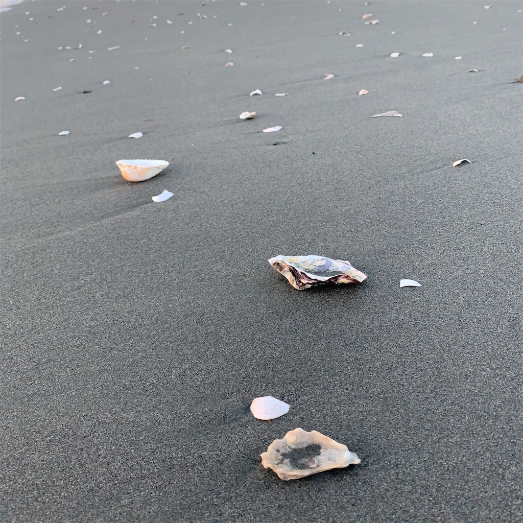 f:id:keikostyle:20200827063816j:image