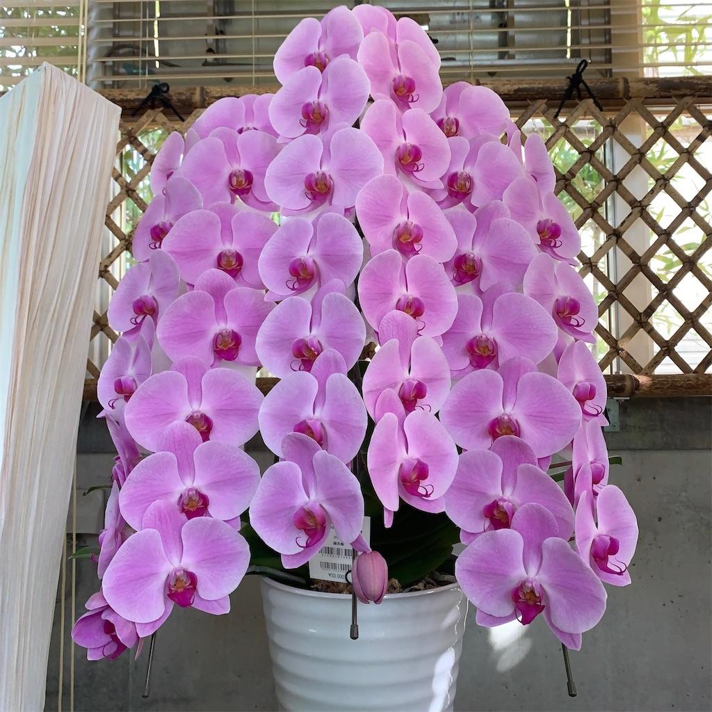 f:id:keikostyle:20200830202704j:image