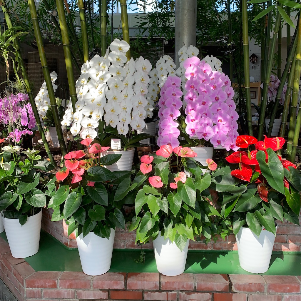 f:id:keikostyle:20200830202708j:image