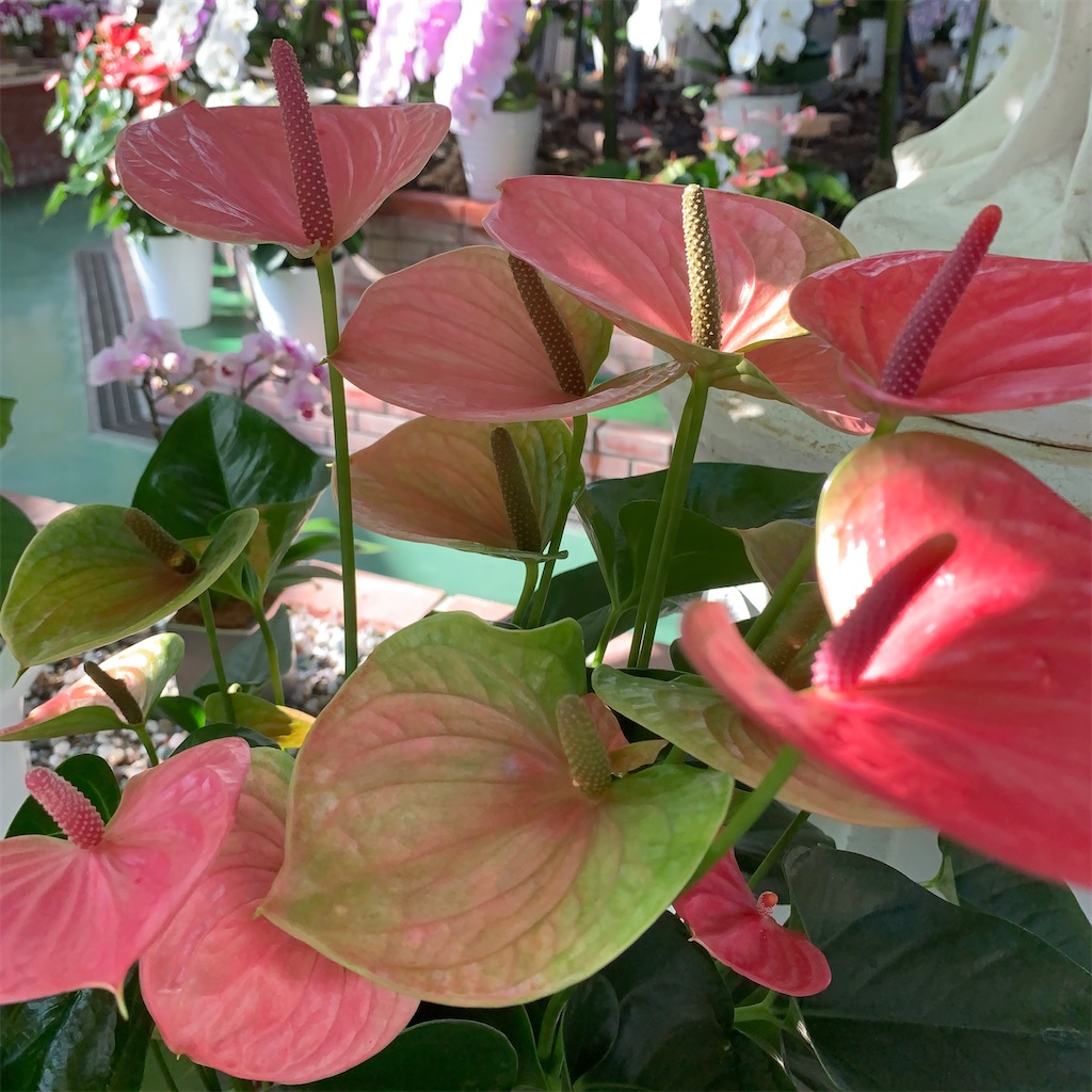 f:id:keikostyle:20200830202720j:image