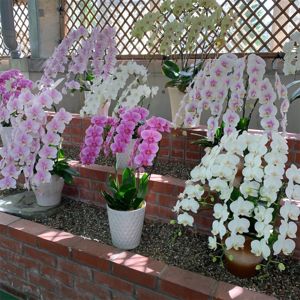 f:id:keikostyle:20200830202750j:image