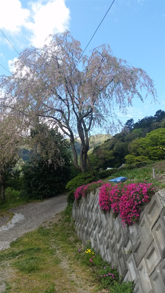 f:id:keikostyle:20200902214954j:image