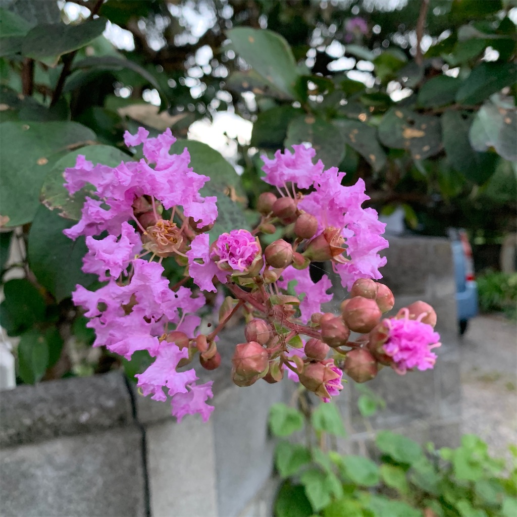 f:id:keikostyle:20200911062419j:image