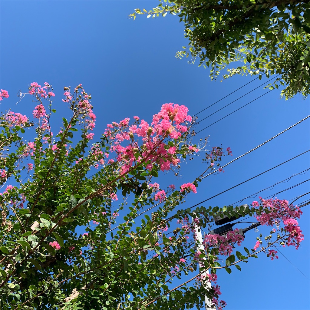 f:id:keikostyle:20200915173623j:image
