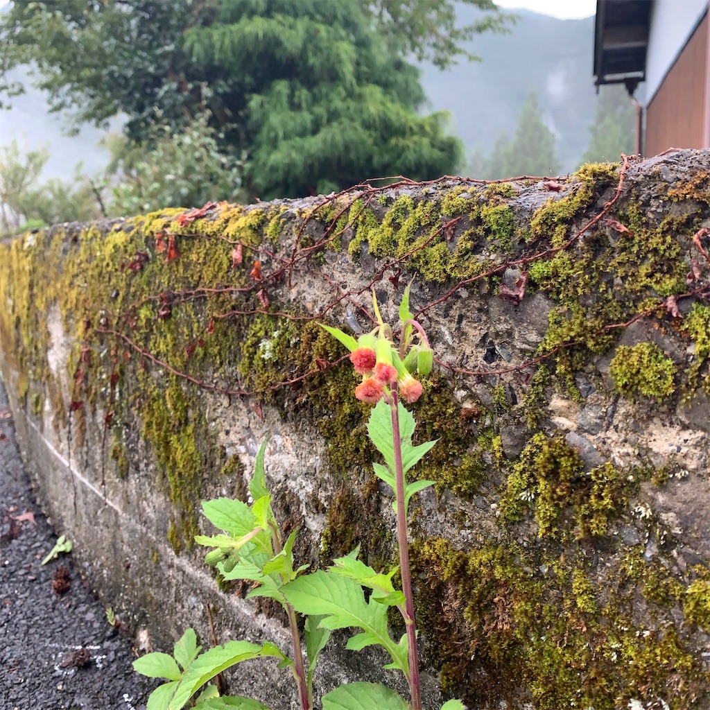 f:id:keikostyle:20200920121036j:image