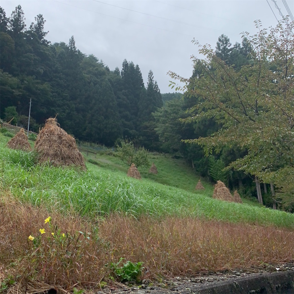 f:id:keikostyle:20201005232451j:image