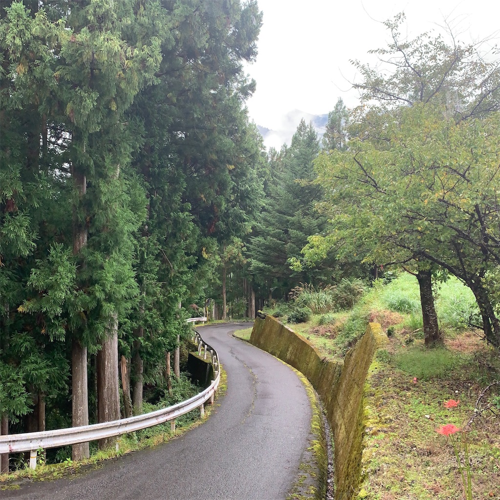 f:id:keikostyle:20201005232502j:image