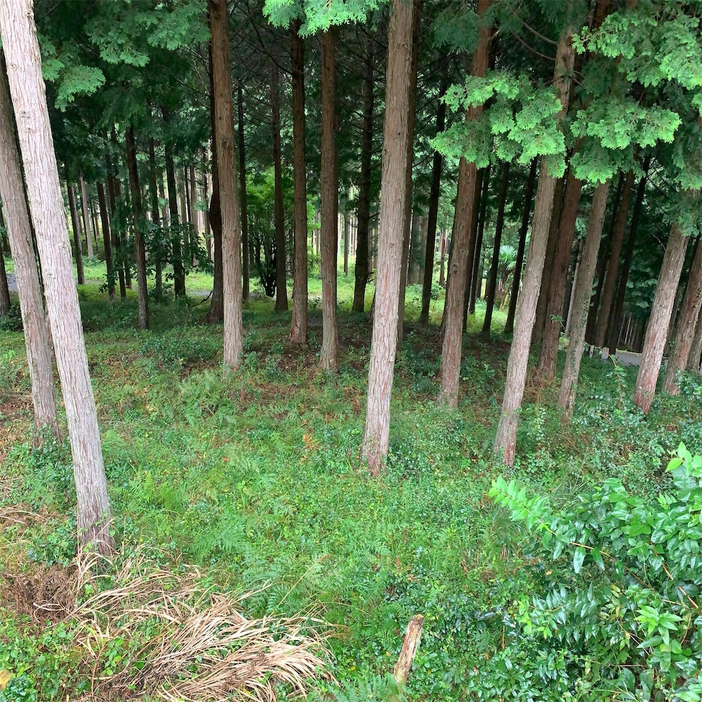 f:id:keikostyle:20201005232511j:image