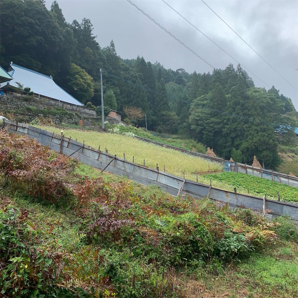 f:id:keikostyle:20201005232516j:image