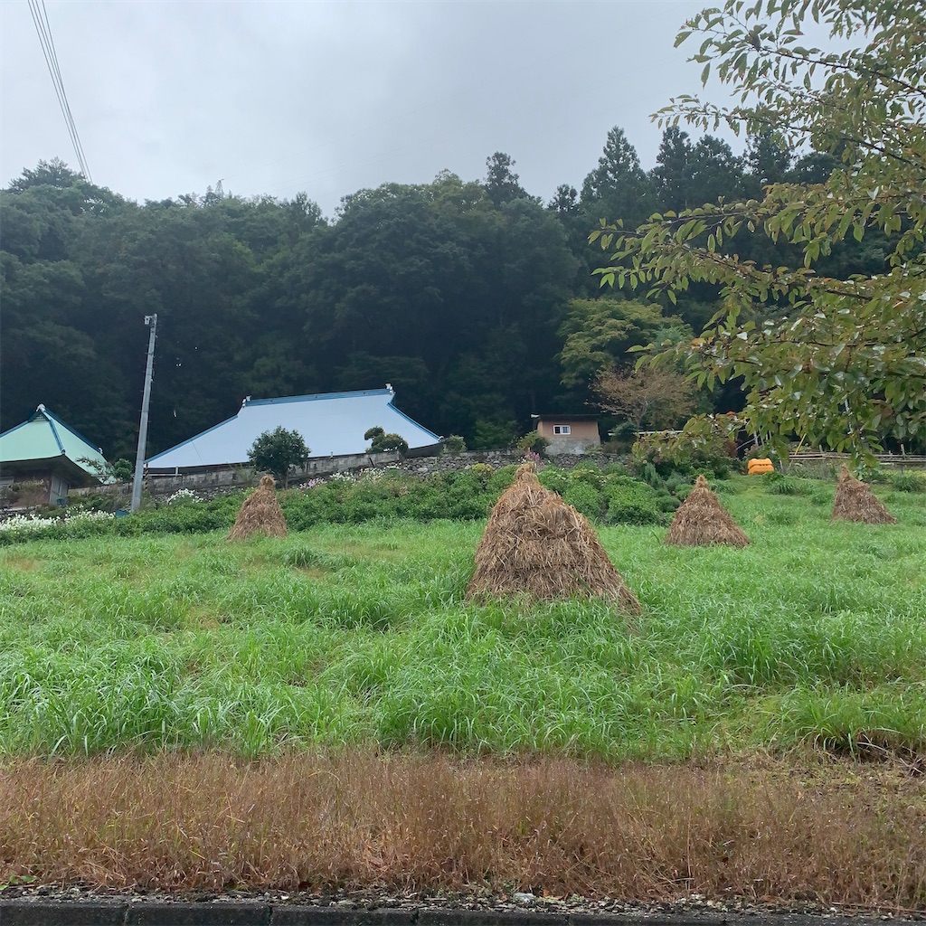f:id:keikostyle:20201005232519j:image
