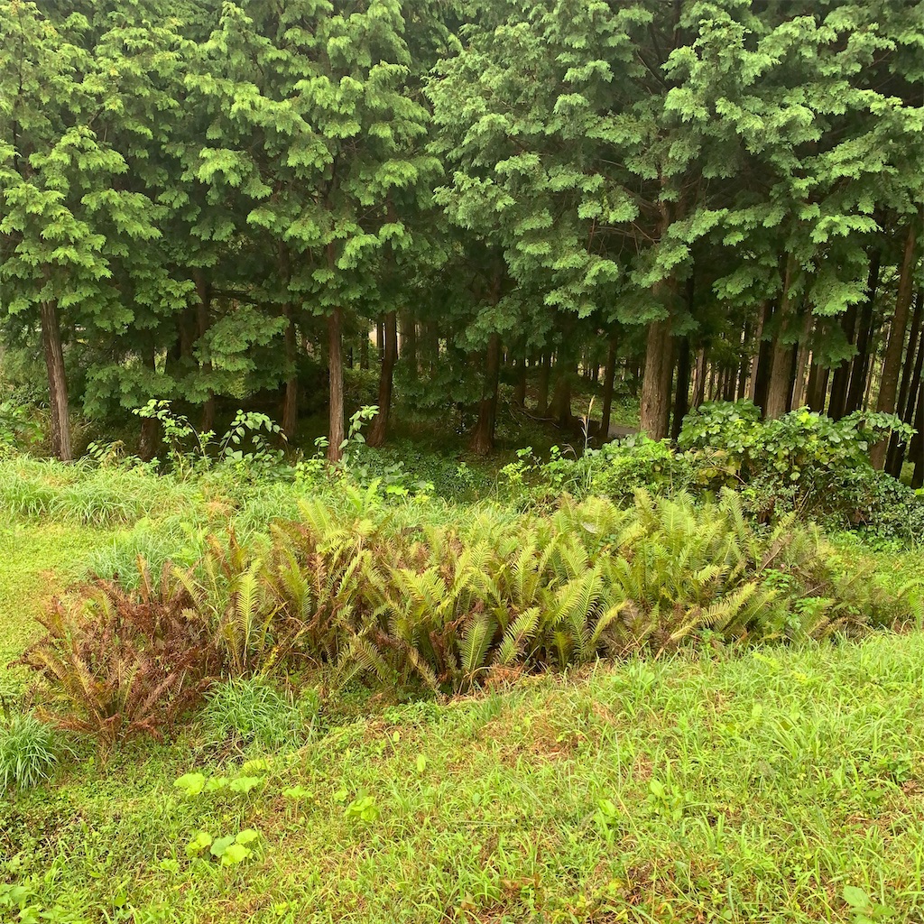 f:id:keikostyle:20201005232523j:image