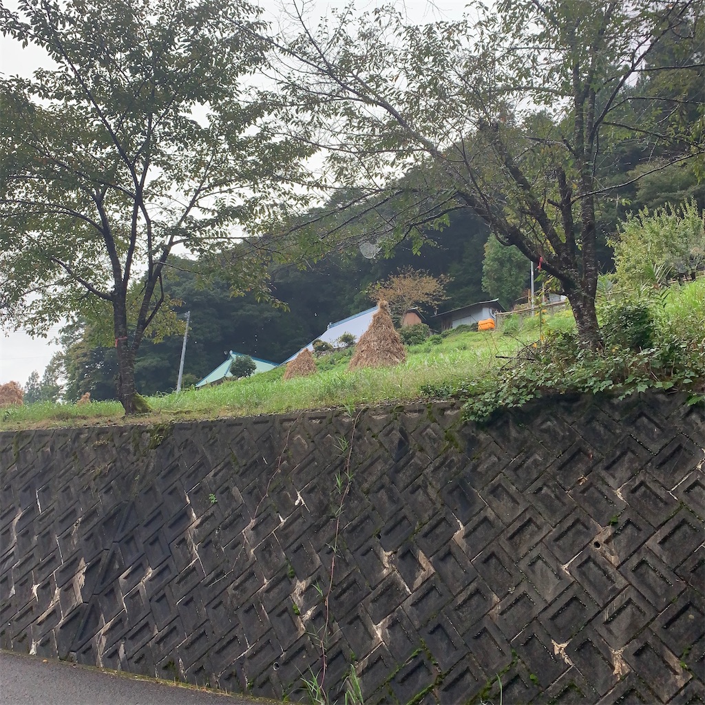 f:id:keikostyle:20201005232541j:image