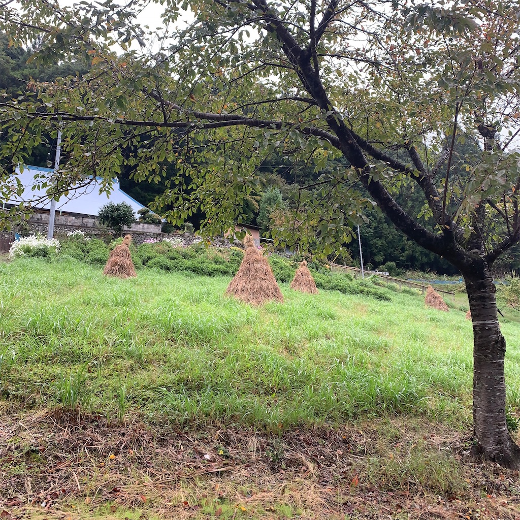 f:id:keikostyle:20201005232545j:image