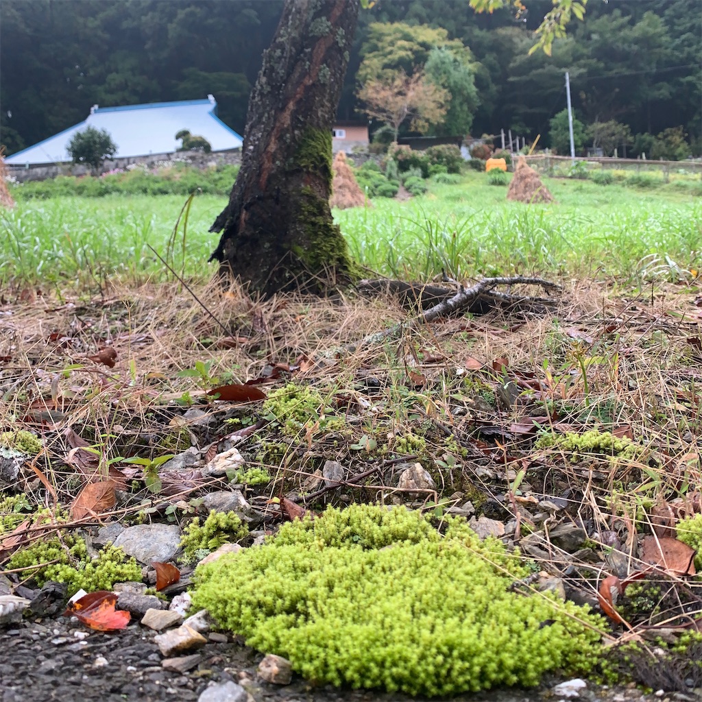 f:id:keikostyle:20201005232603j:image