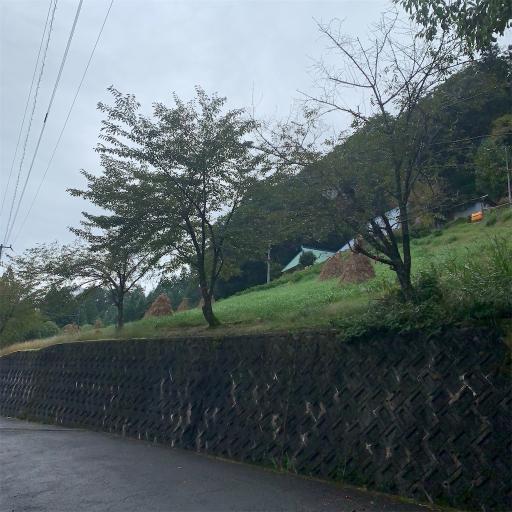 f:id:keikostyle:20201005232616j:image