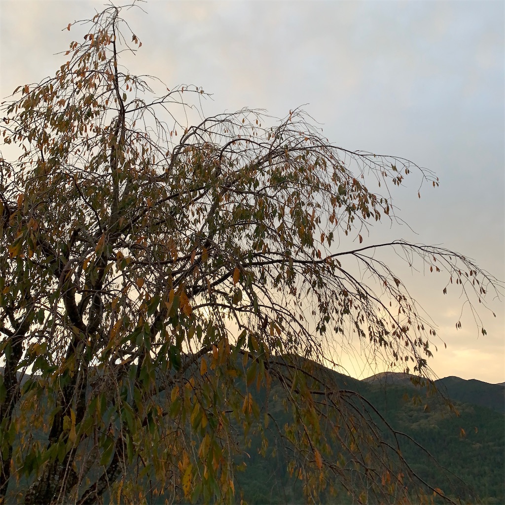 f:id:keikostyle:20201018064000j:image