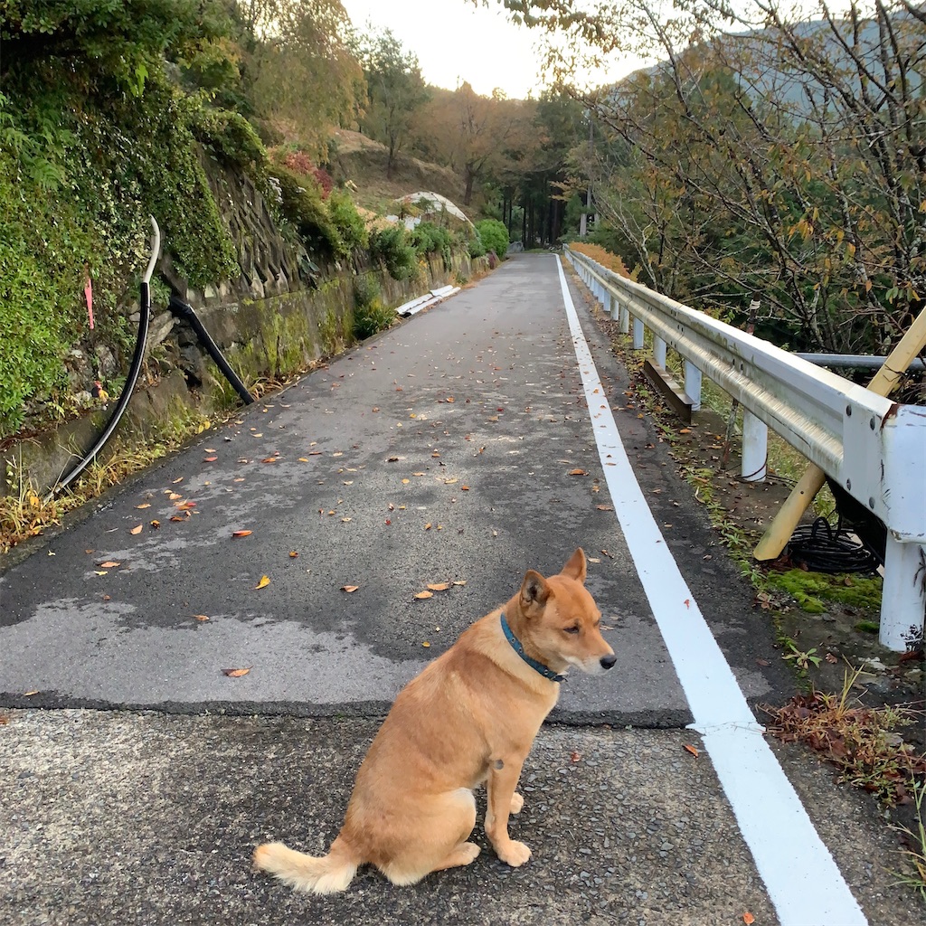 f:id:keikostyle:20201018064442j:image