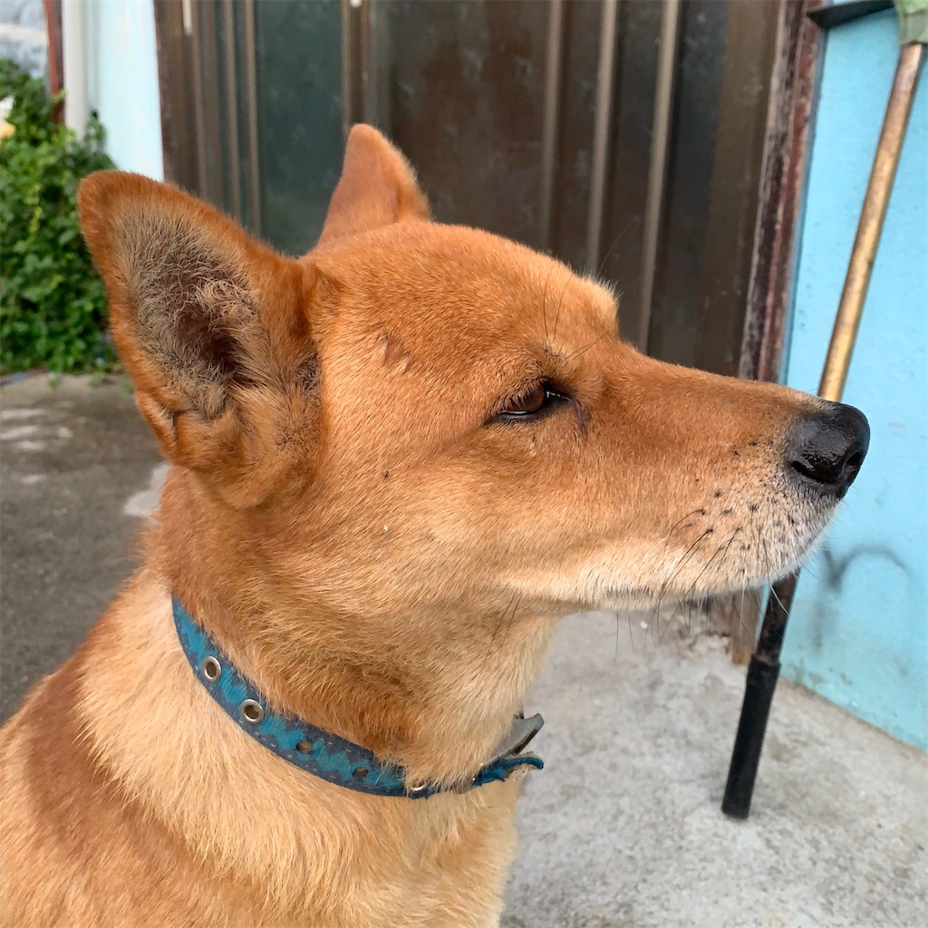 f:id:keikostyle:20201018064729j:image