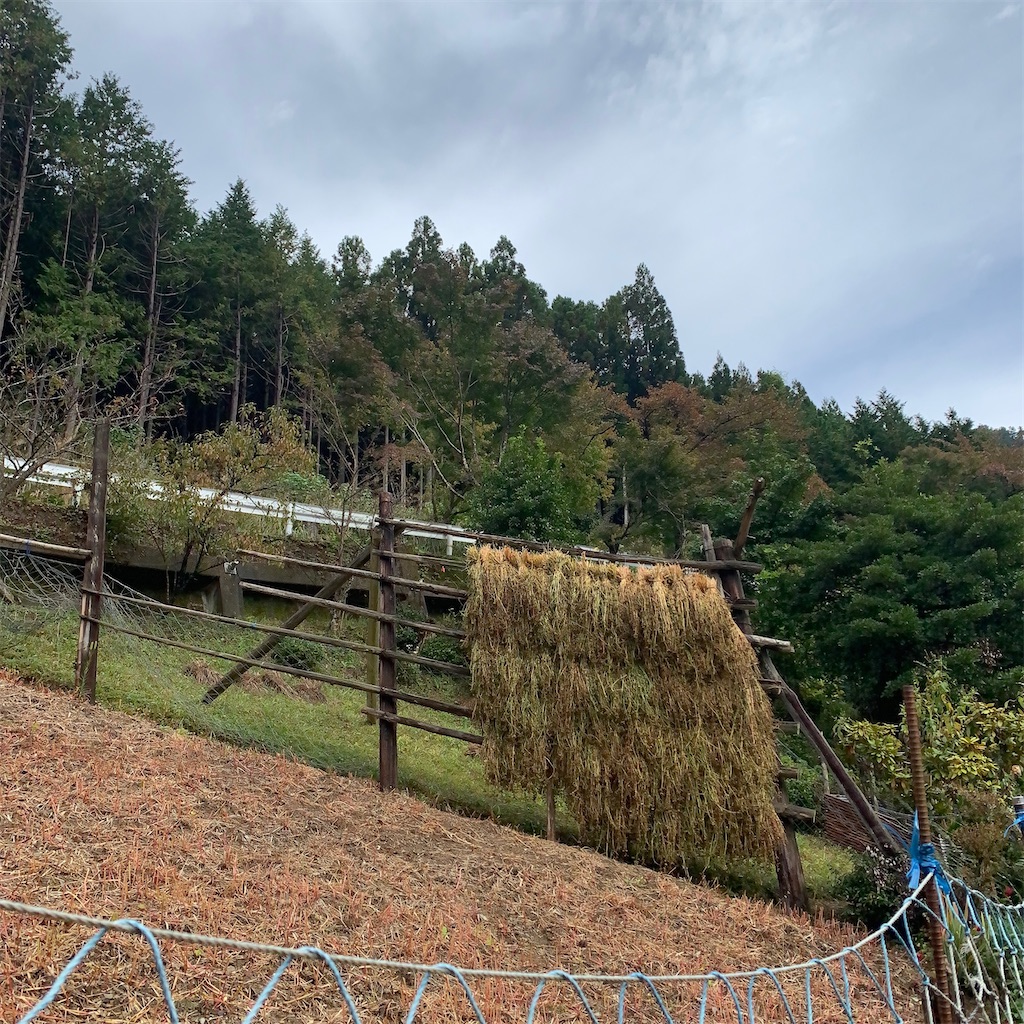 f:id:keikostyle:20201019115131j:image