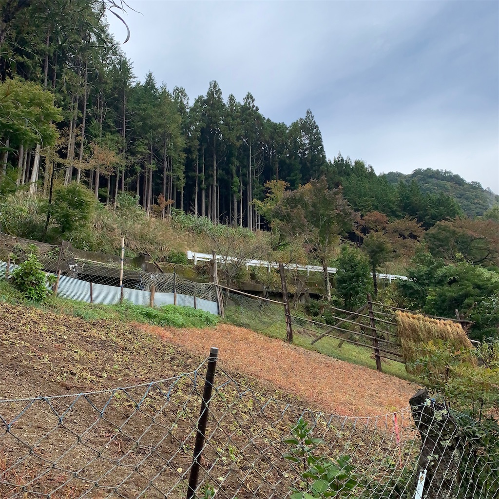 f:id:keikostyle:20201019115140j:image