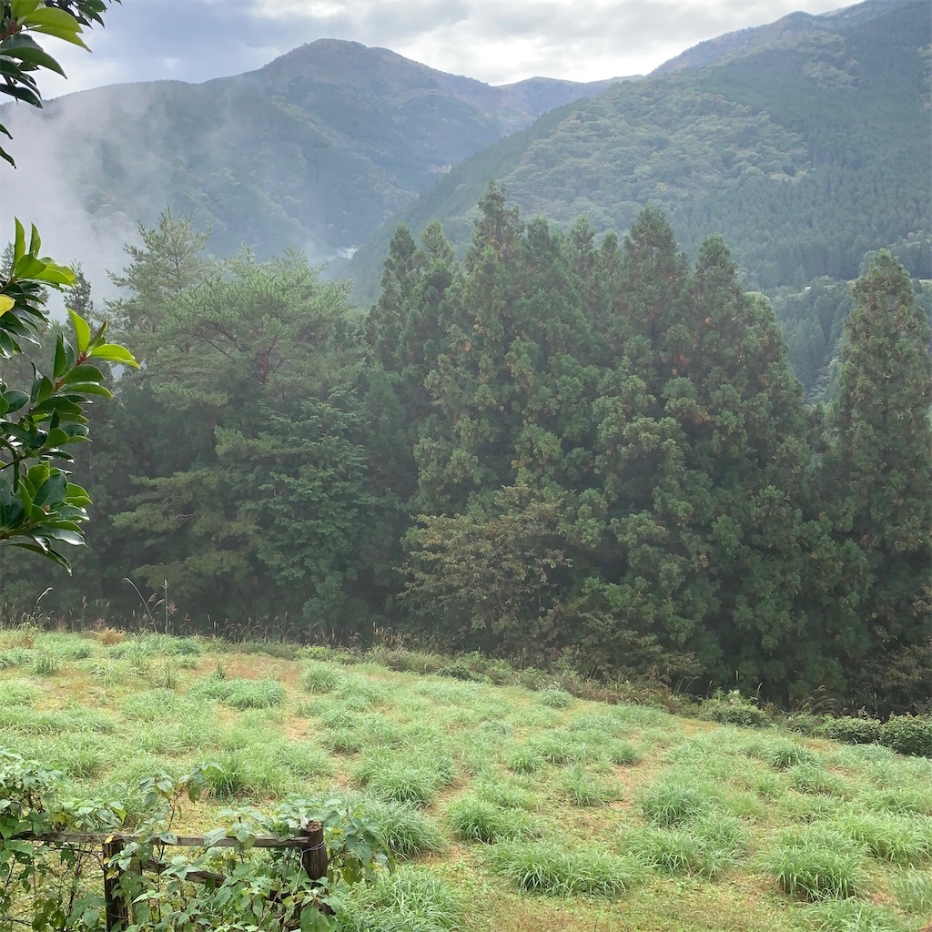 f:id:keikostyle:20201019115524j:image