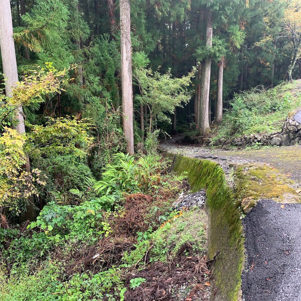 f:id:keikostyle:20201019115527j:image