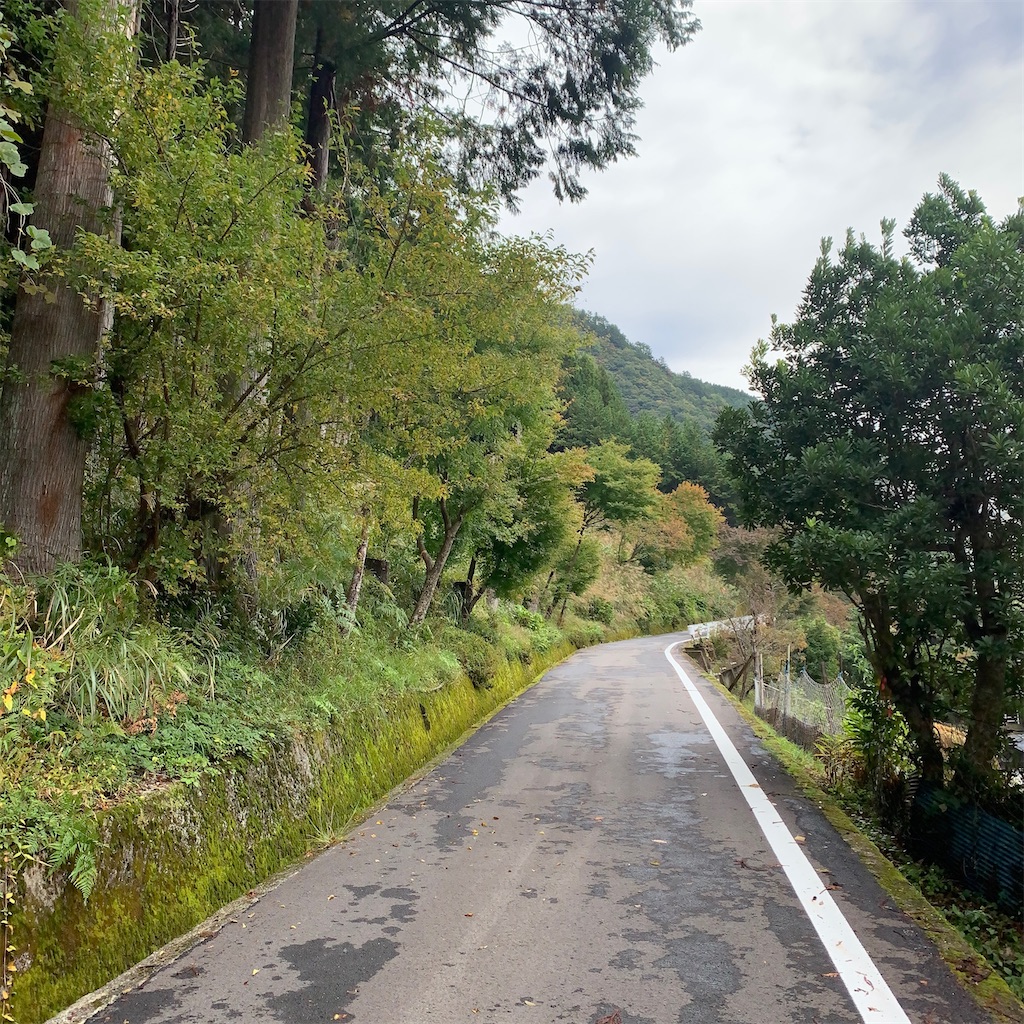 f:id:keikostyle:20201019115542j:image