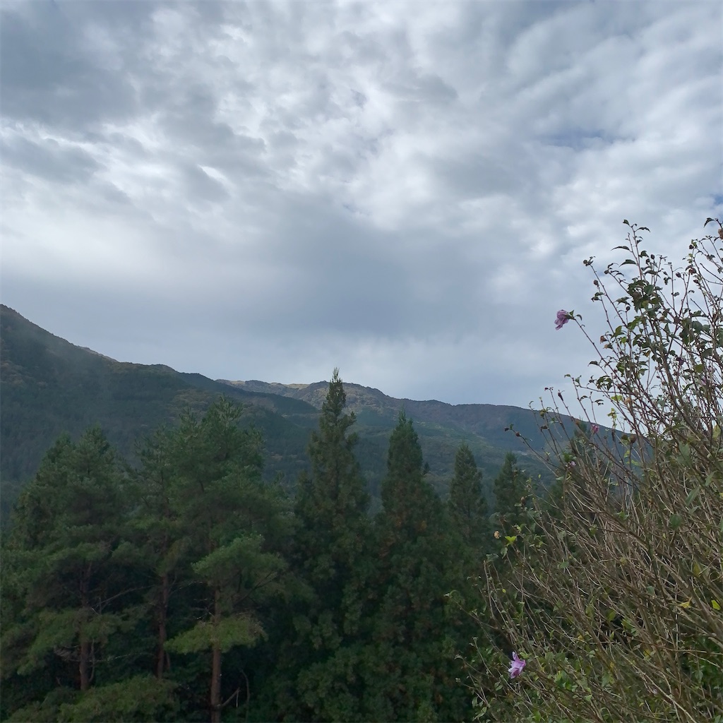 f:id:keikostyle:20201019115559j:image