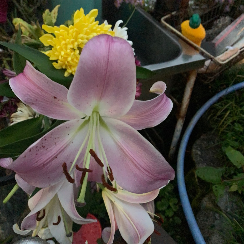 f:id:keikostyle:20201019115606j:image