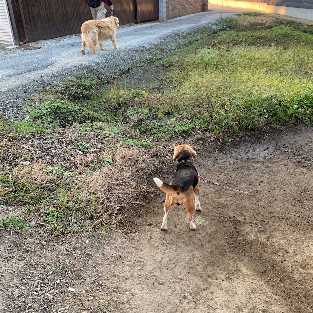 f:id:keikostyle:20201031072823j:image