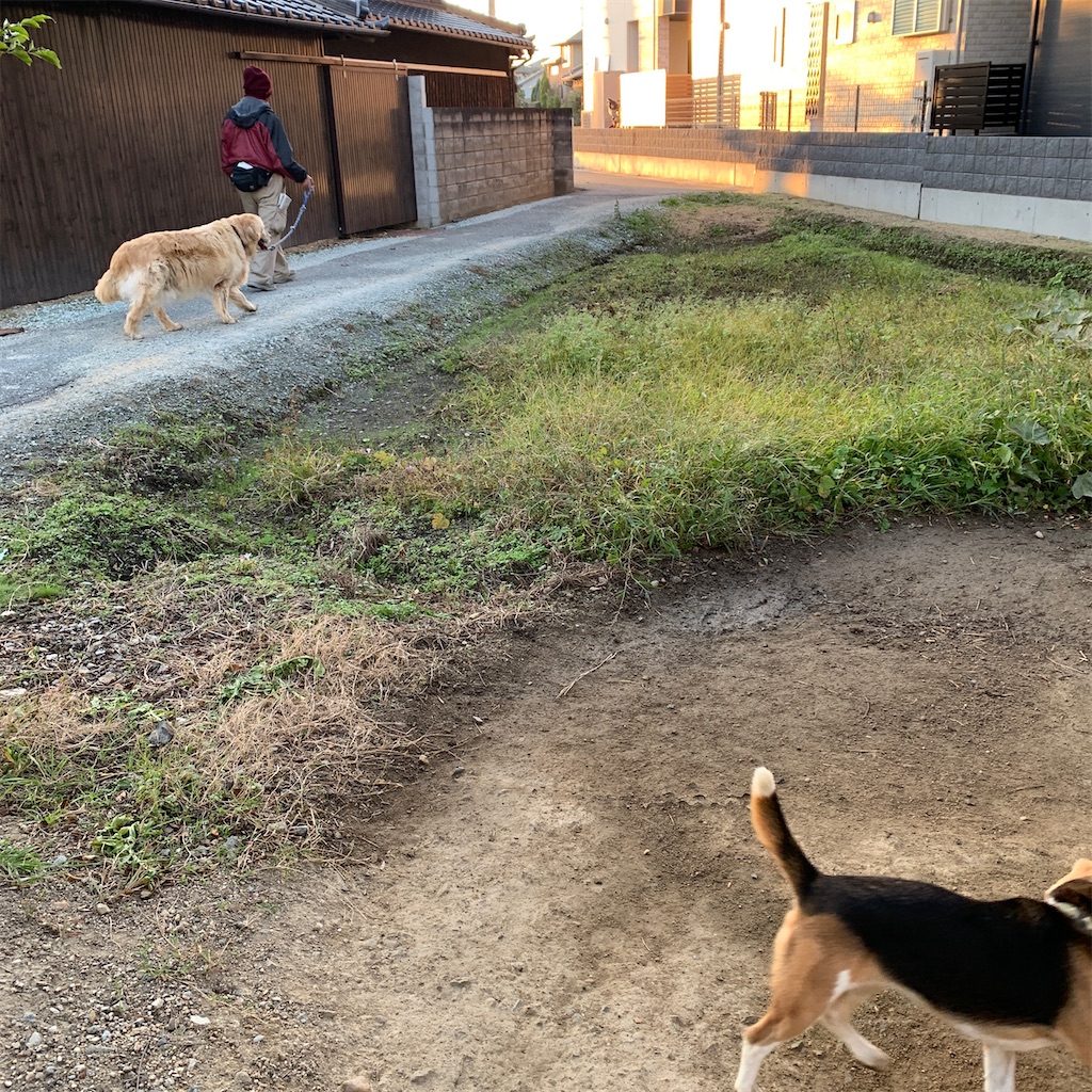 f:id:keikostyle:20201031072927j:image