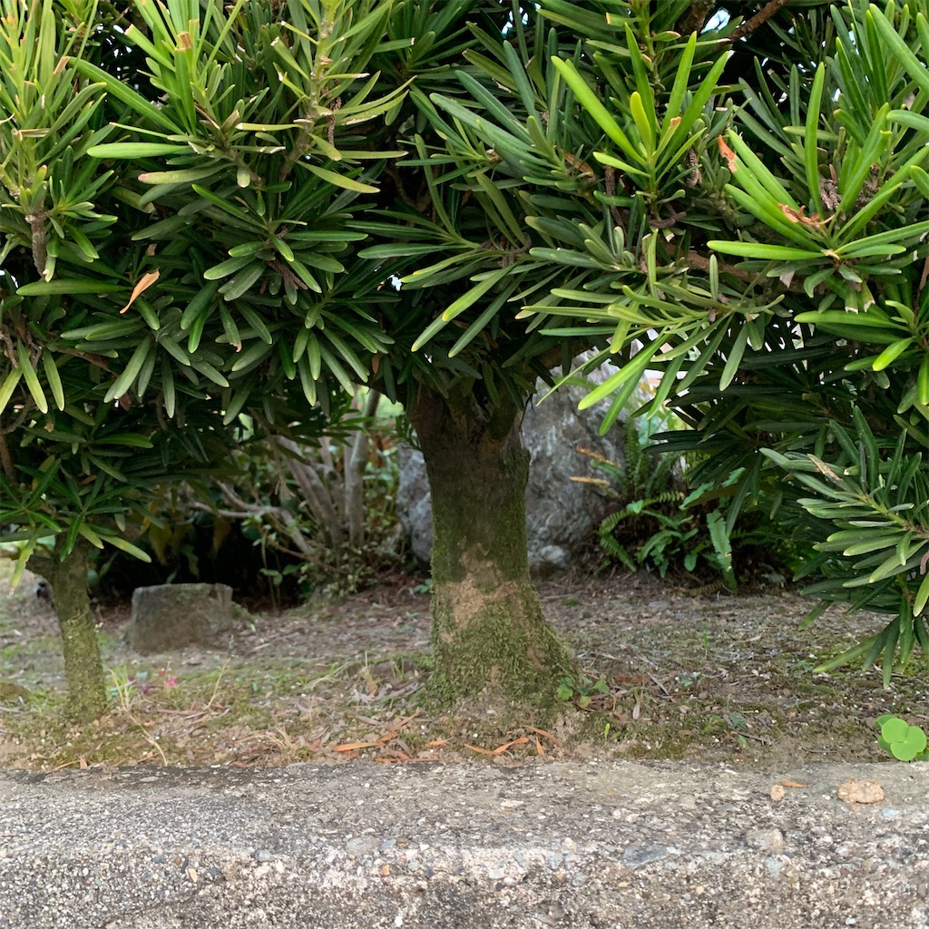 f:id:keikostyle:20201127071105j:image