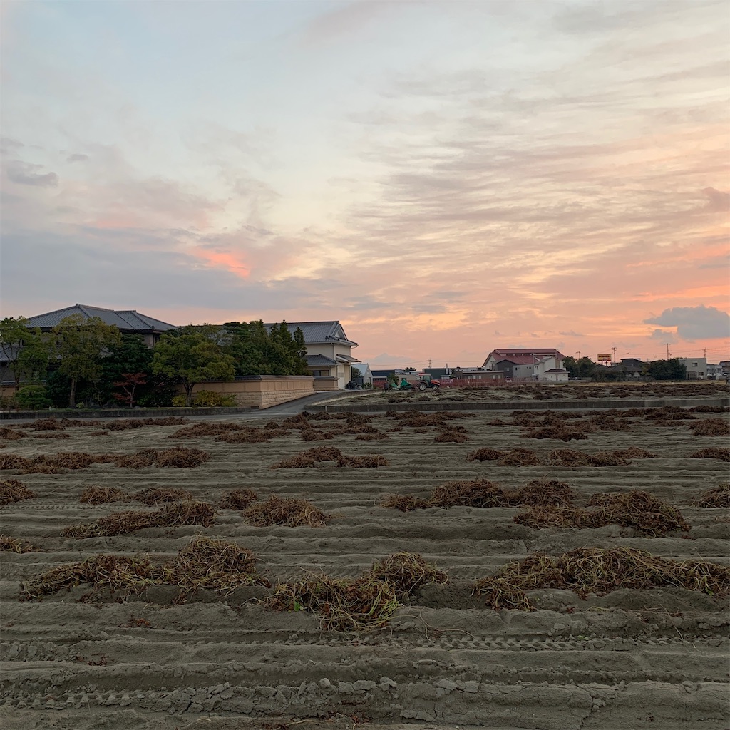 f:id:keikostyle:20201127071208j:image