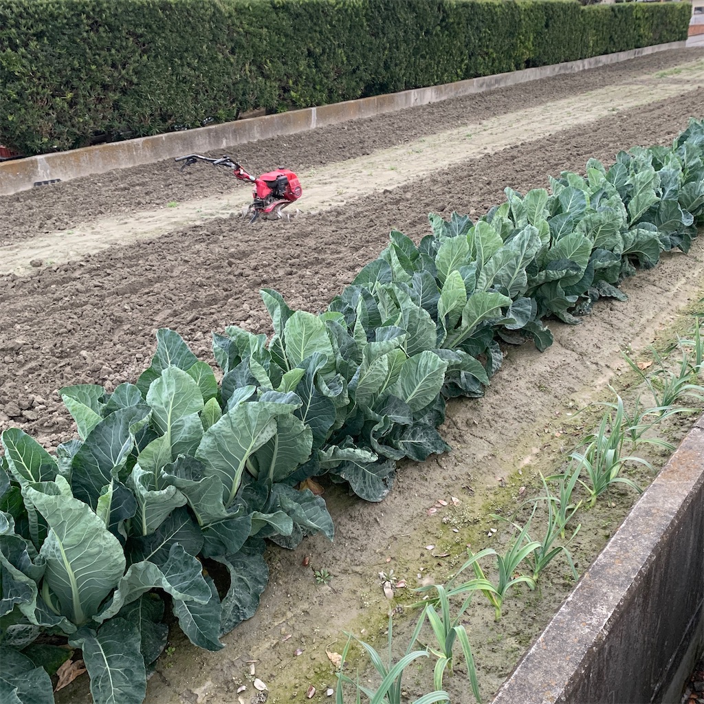 f:id:keikostyle:20201127071218j:image