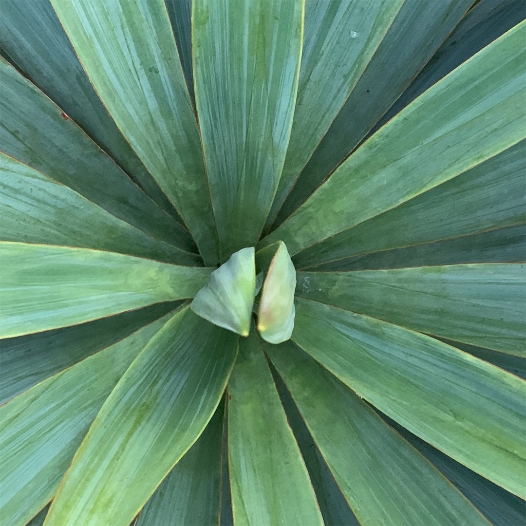 f:id:keikostyle:20201129071546j:image