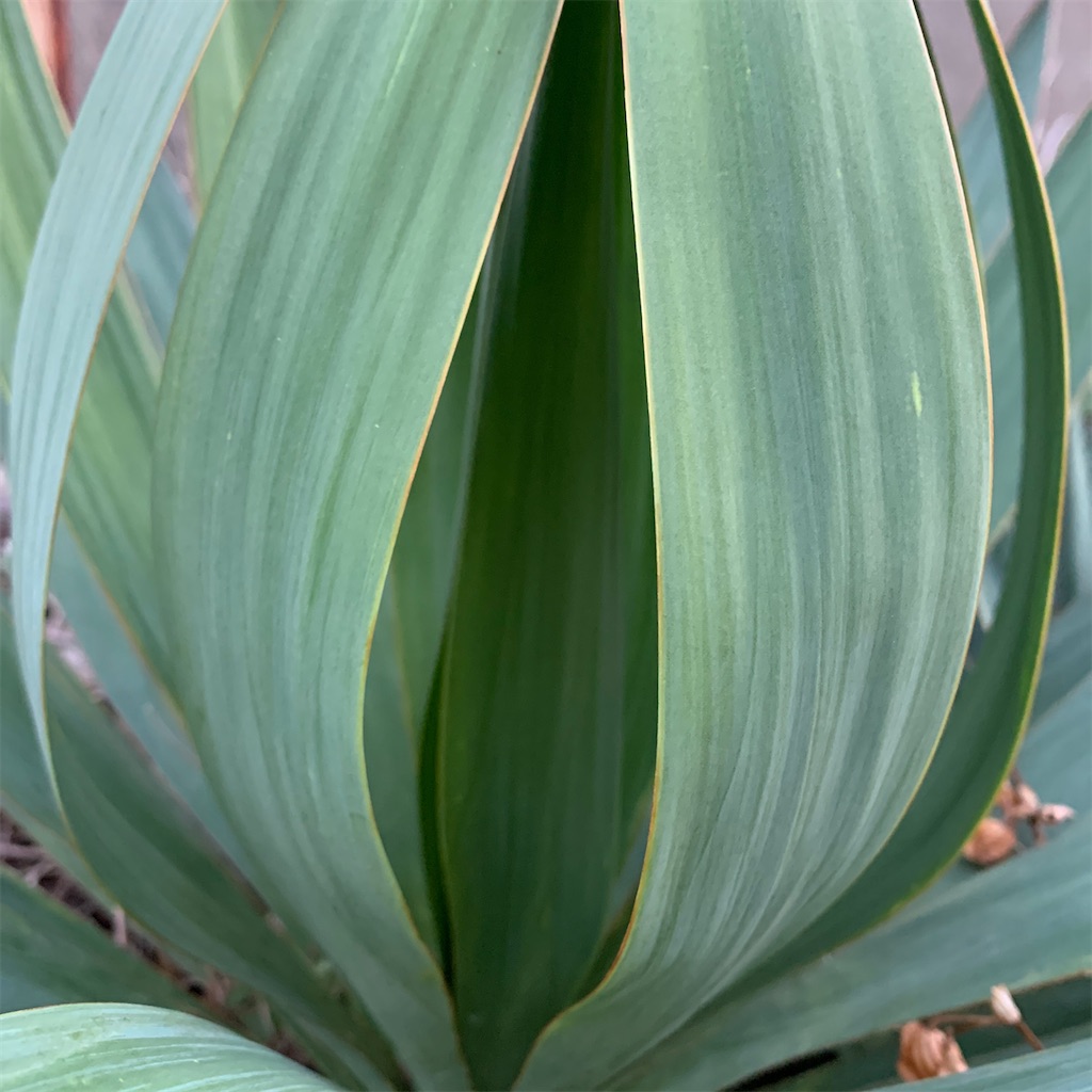 f:id:keikostyle:20201129071553j:image