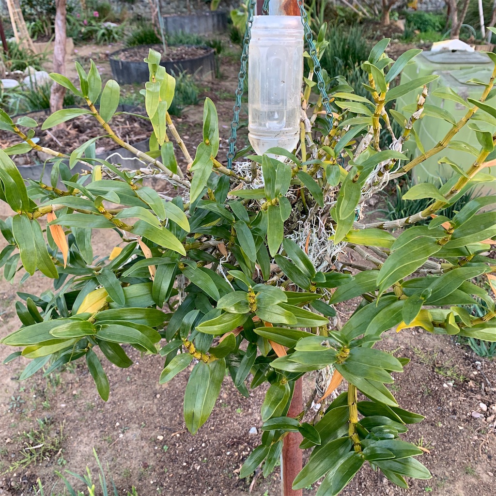 f:id:keikostyle:20201129071556j:image