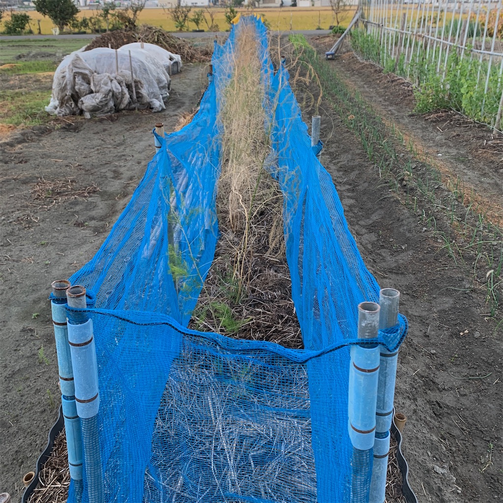 f:id:keikostyle:20201129071607j:image