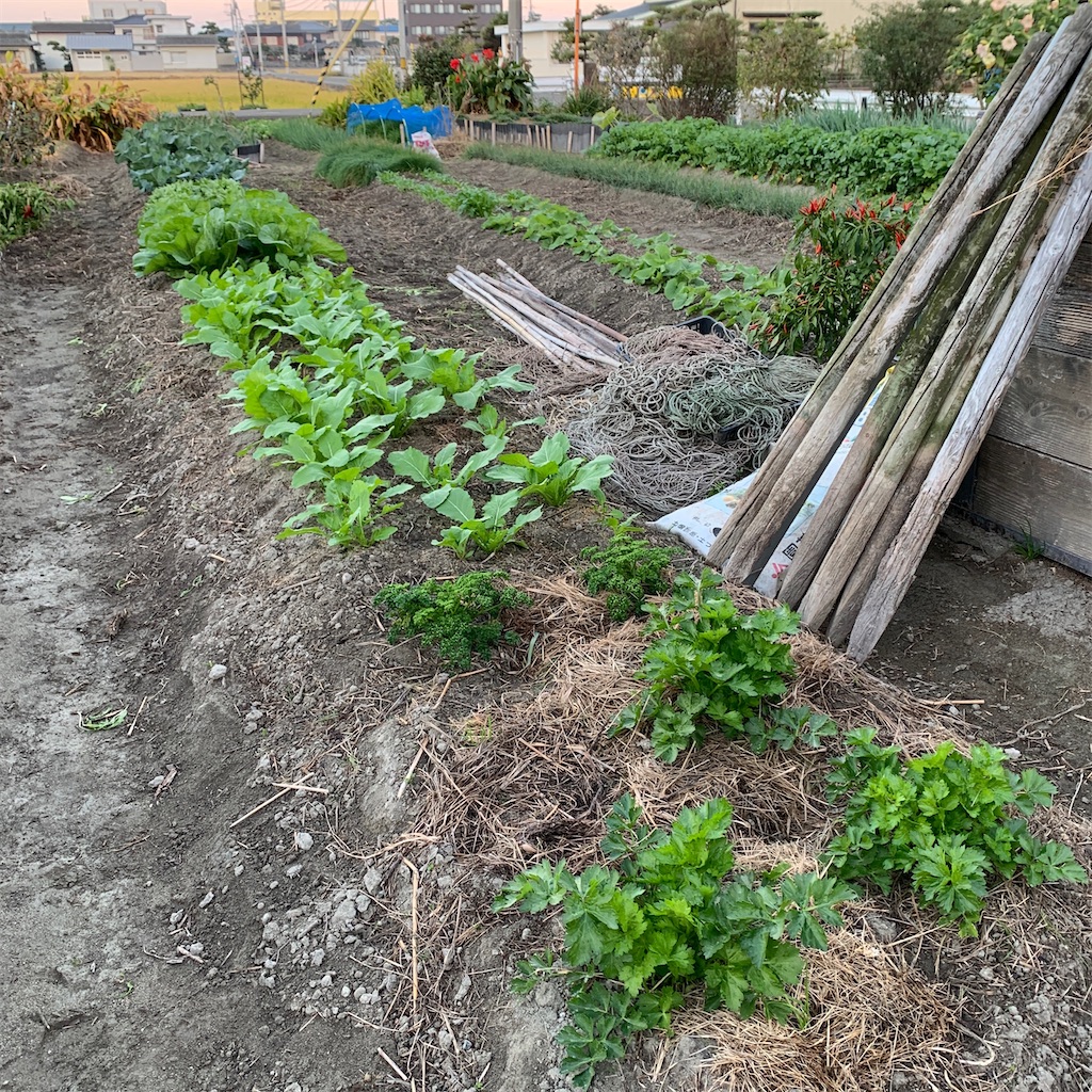 f:id:keikostyle:20201129071614j:image