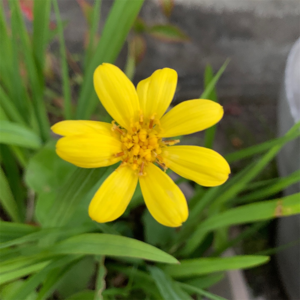 f:id:keikostyle:20201129071633j:image