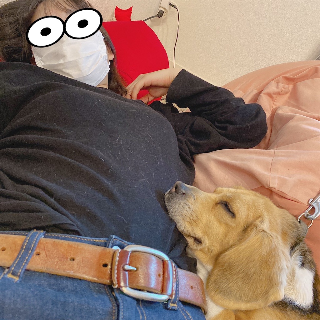 f:id:keikostyle:20201207084003j:image