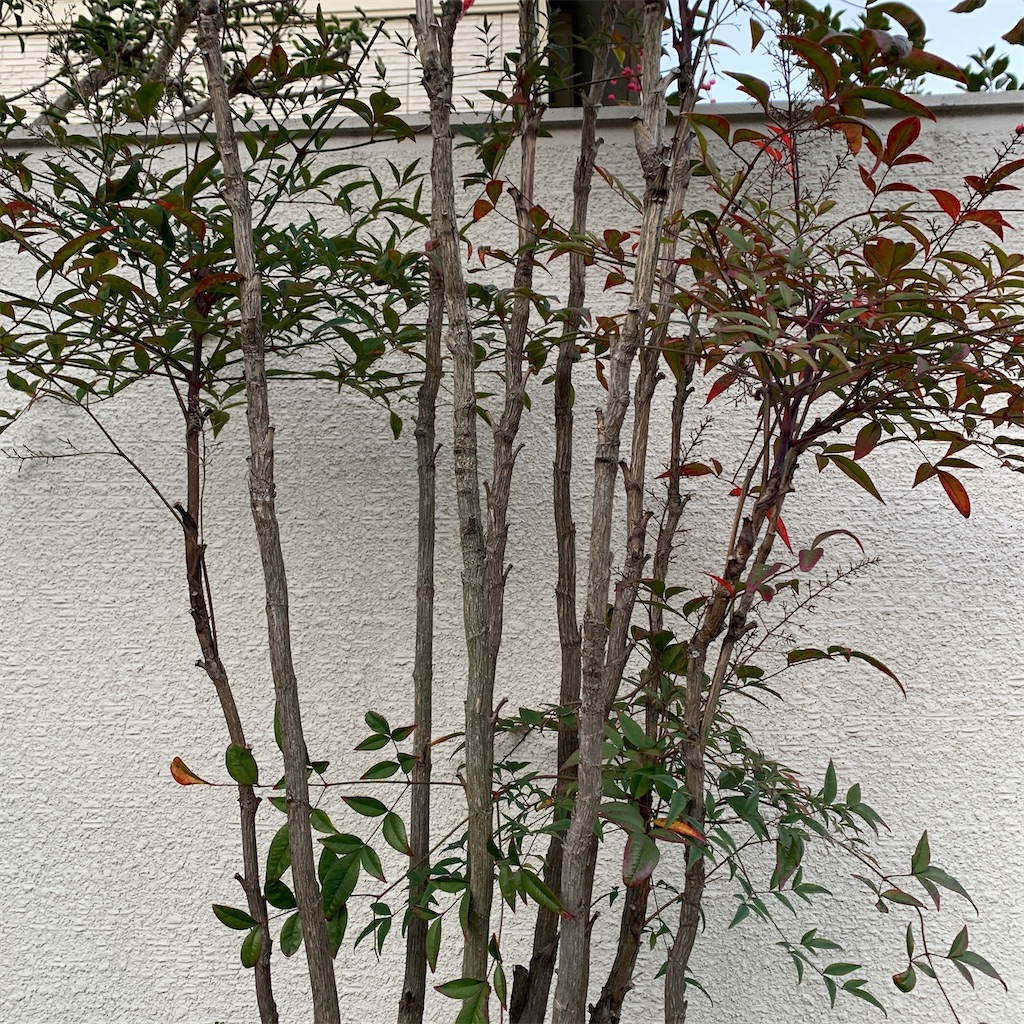 f:id:keikostyle:20201217072142j:image