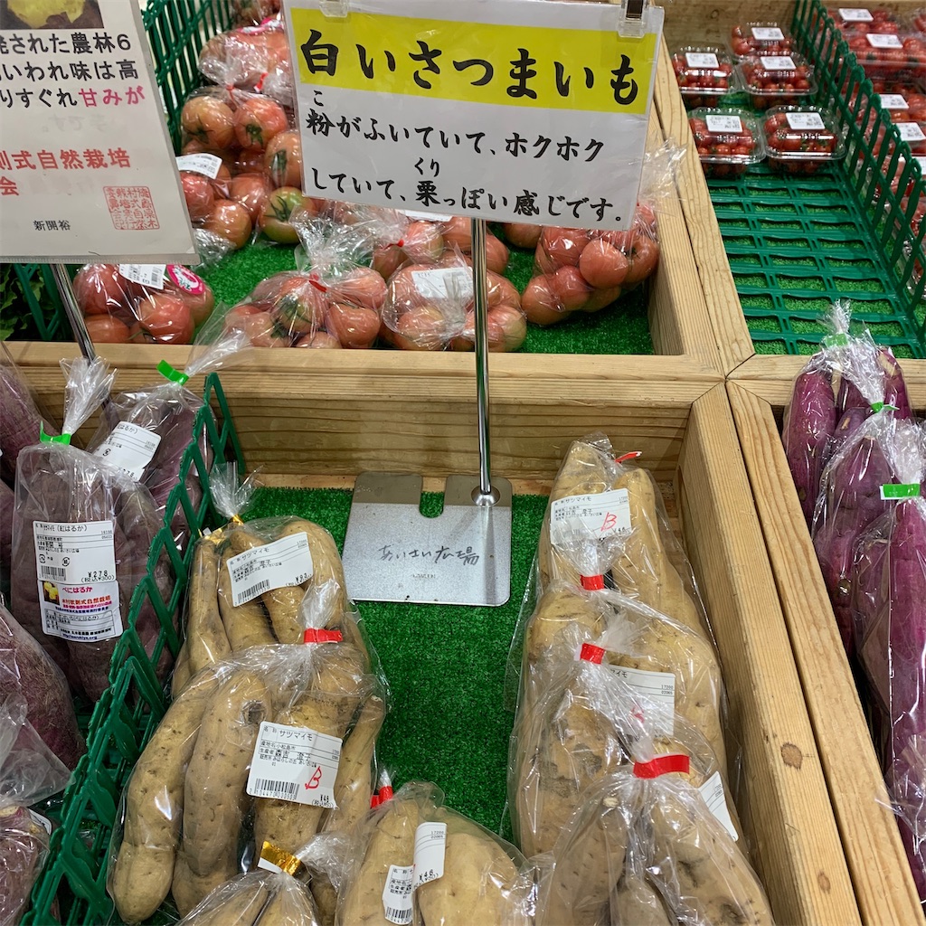 f:id:keikostyle:20201217215432j:image