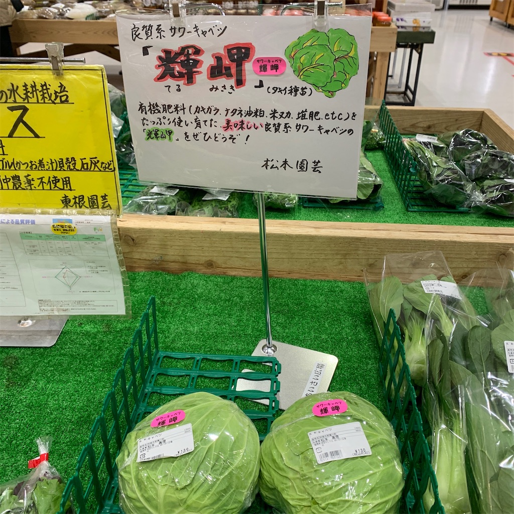 f:id:keikostyle:20201217215549j:image