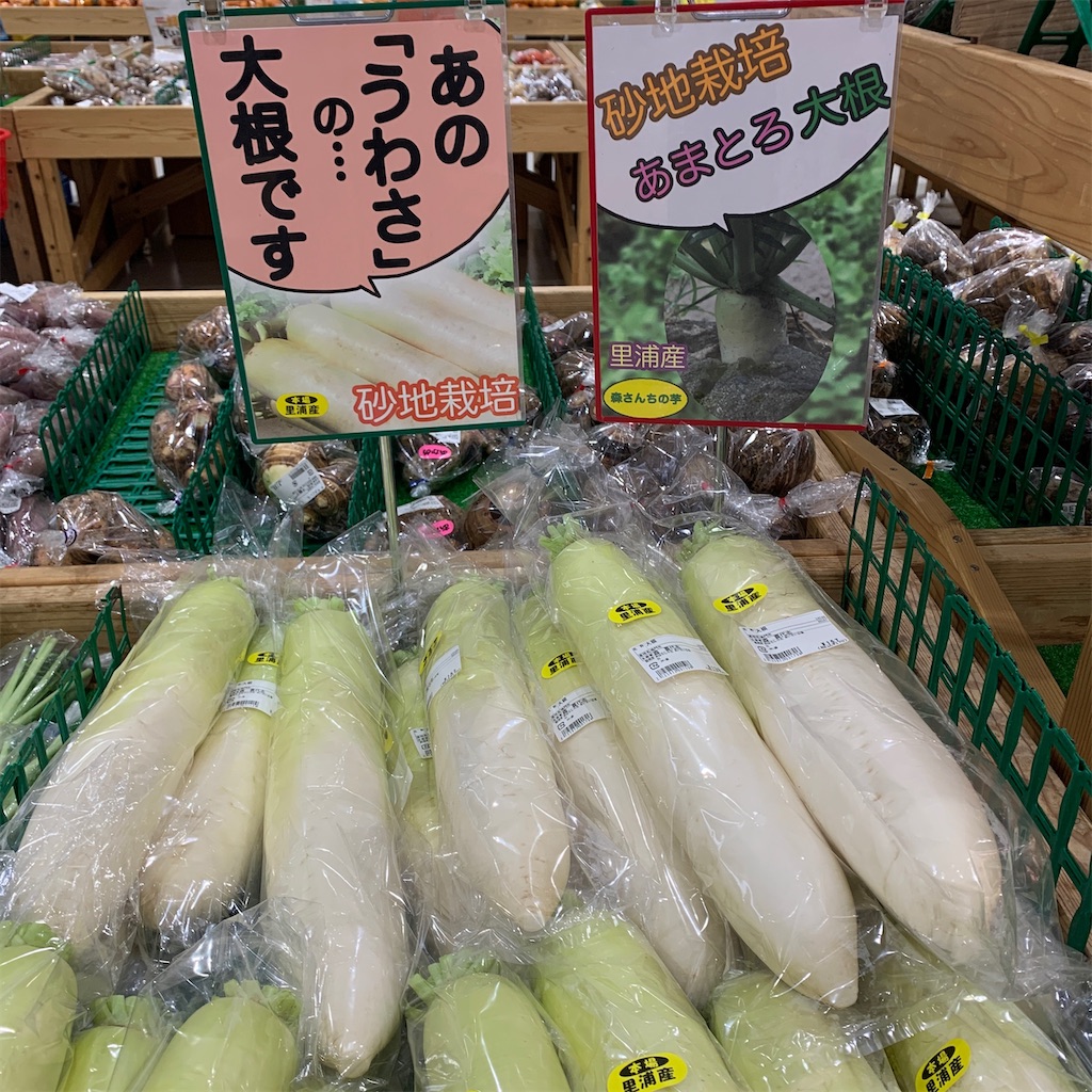 f:id:keikostyle:20201217215602j:image