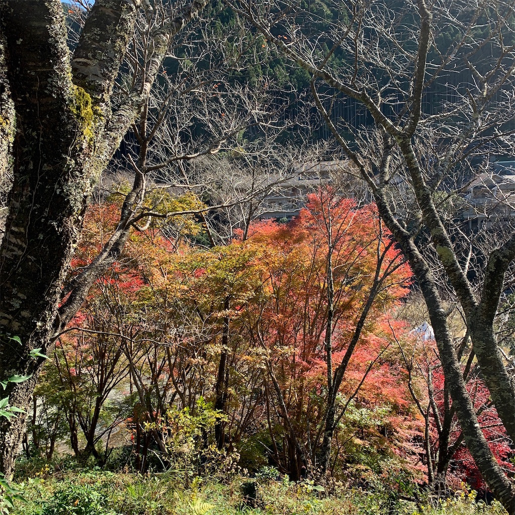 f:id:keikostyle:20201223080845j:image