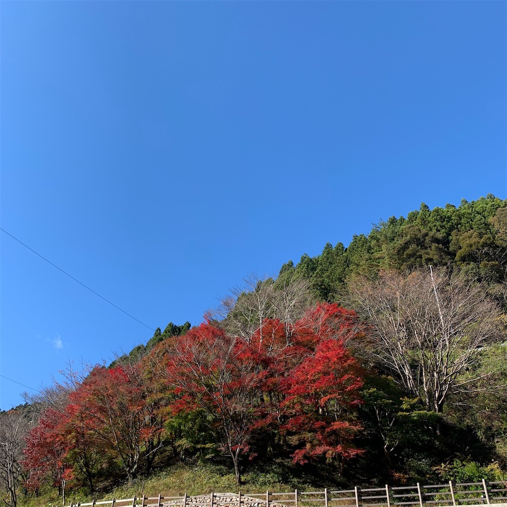 f:id:keikostyle:20201223080859j:image